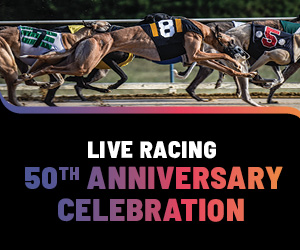 Live Racing 50th Anniversary Celebration